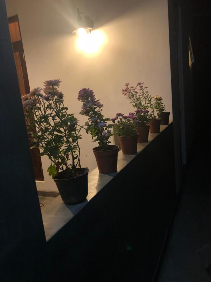 Lohas Villa Hiriketiya 디크웰라 외부 사진